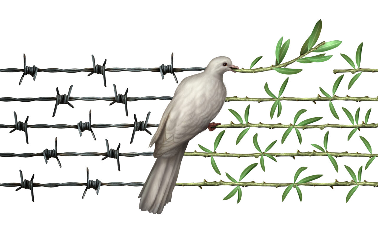 Drawing of a dove on barbed wire that is turning into green vines illustrating optimism.