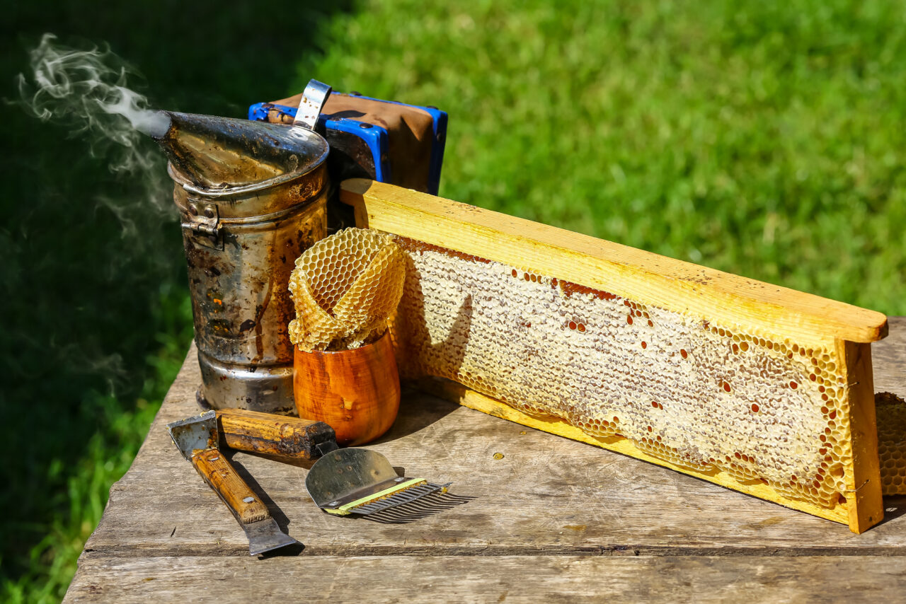 Beekeeper working tools on a wooden table.