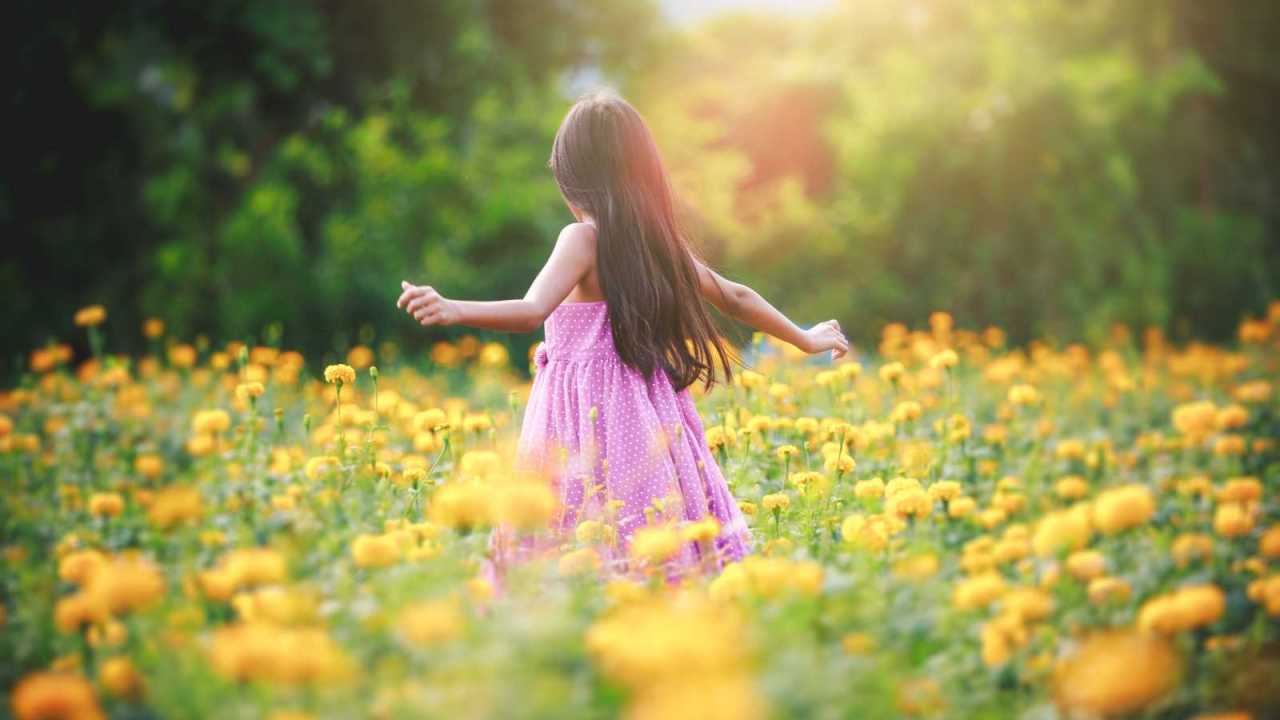 Little girl dancing in field of marigold flowers.