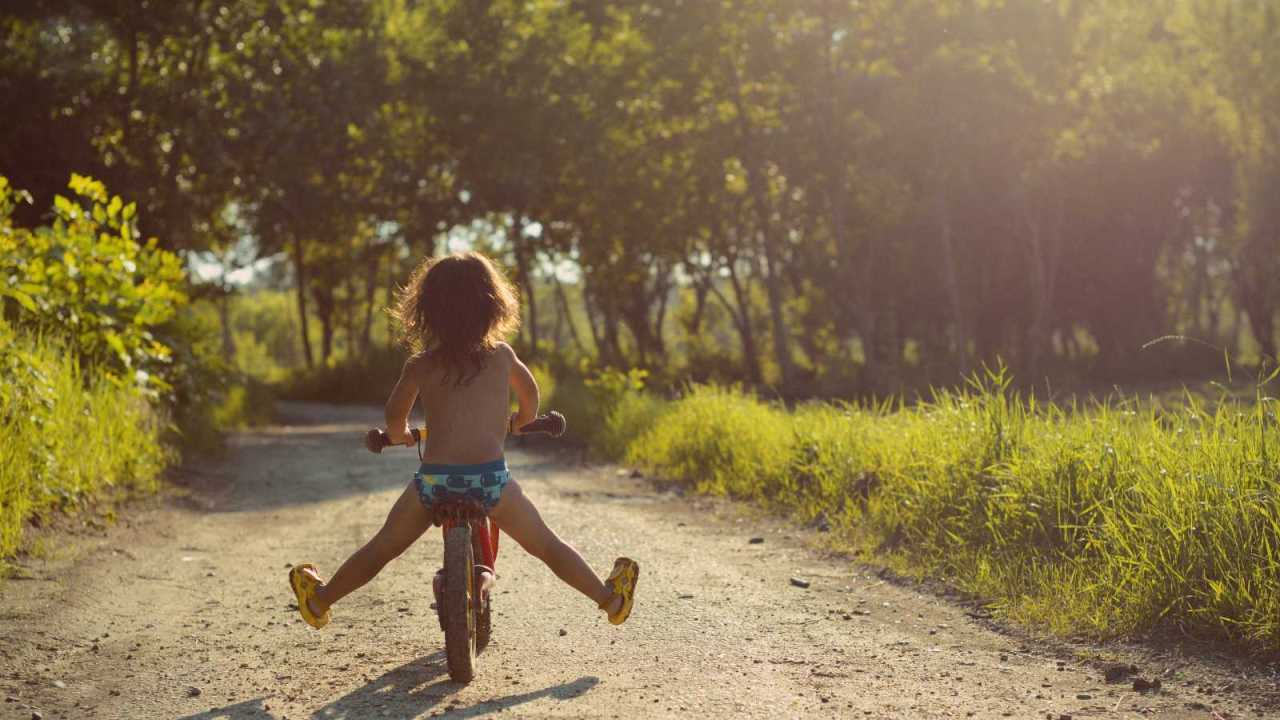 Small child rides bike toward elm tree grove.