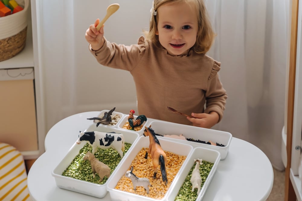 The Closing Data to Dried Bean Sensory Bins